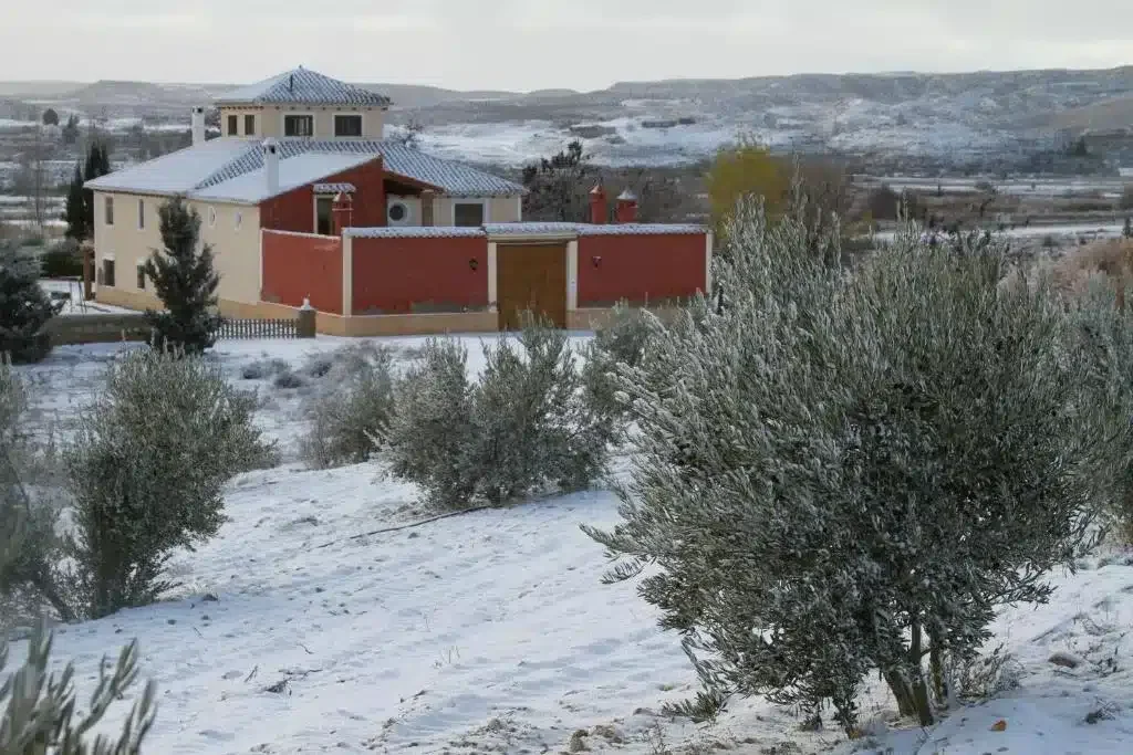 Cortijo Los Nogales - Foto 5