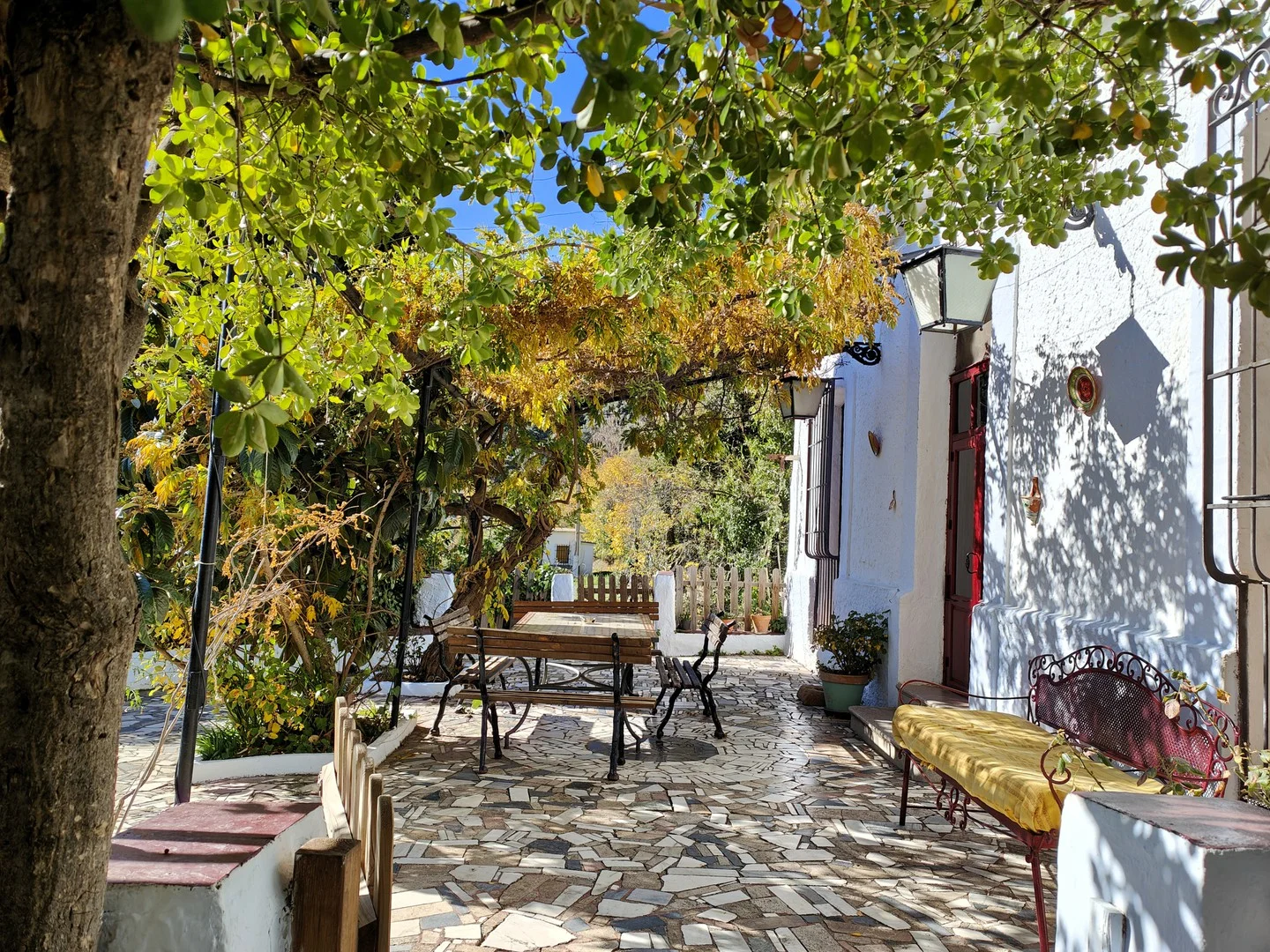 Cortijo Buena Vista - Foto 3