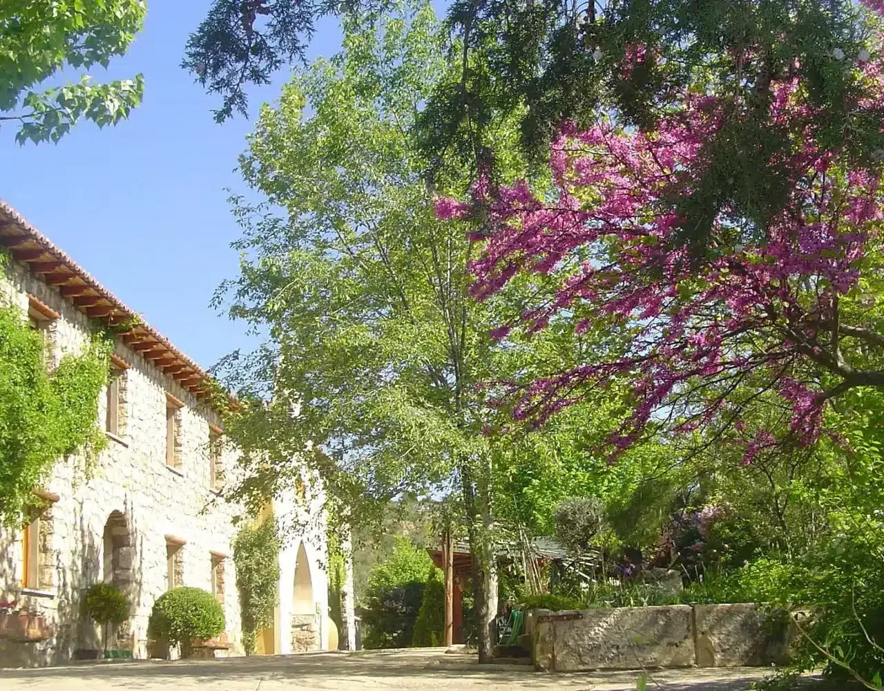 El Cerrao de San José - Foto 4