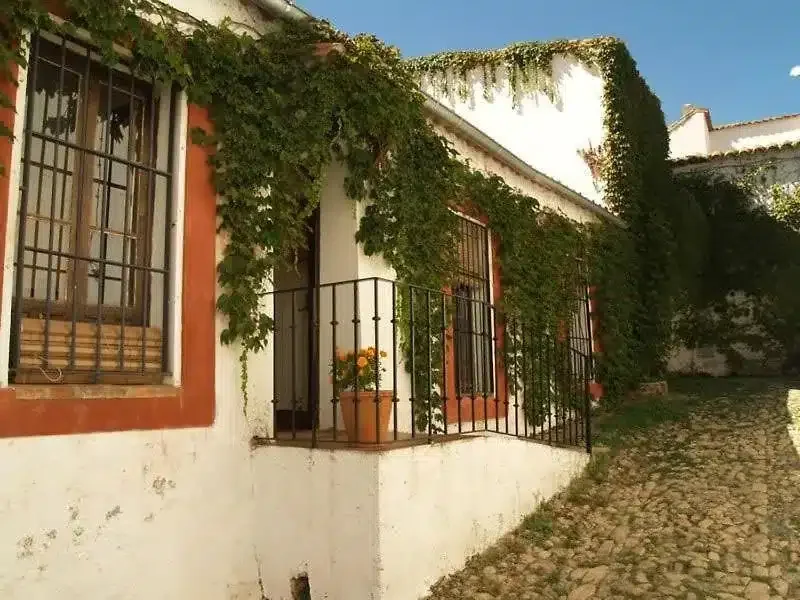 Finca Los Gallos - Foto 3