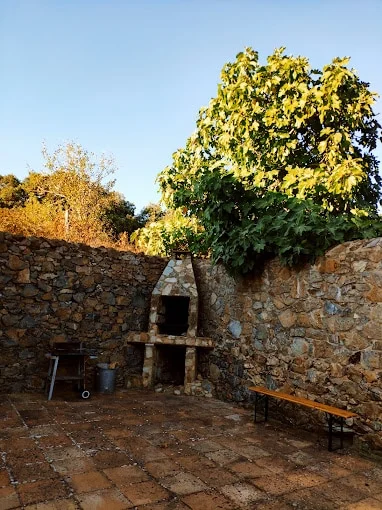 Finca Buenvino - Foto 3