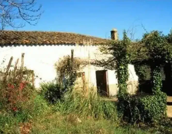 Finca El Cordonero - Foto 5