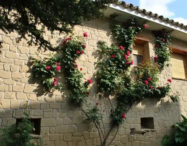Casa Tura - Foto 4