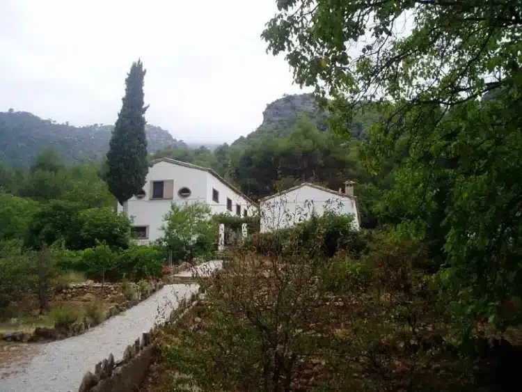El Hornico - Foto 1