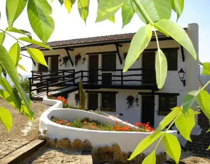 Las Cobachas - Foto 4