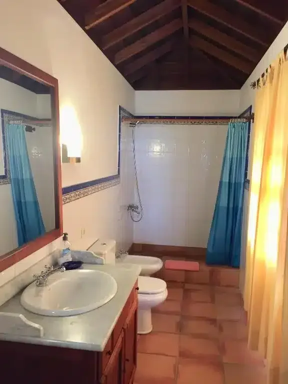 Los Llanos Negros - Foto 3