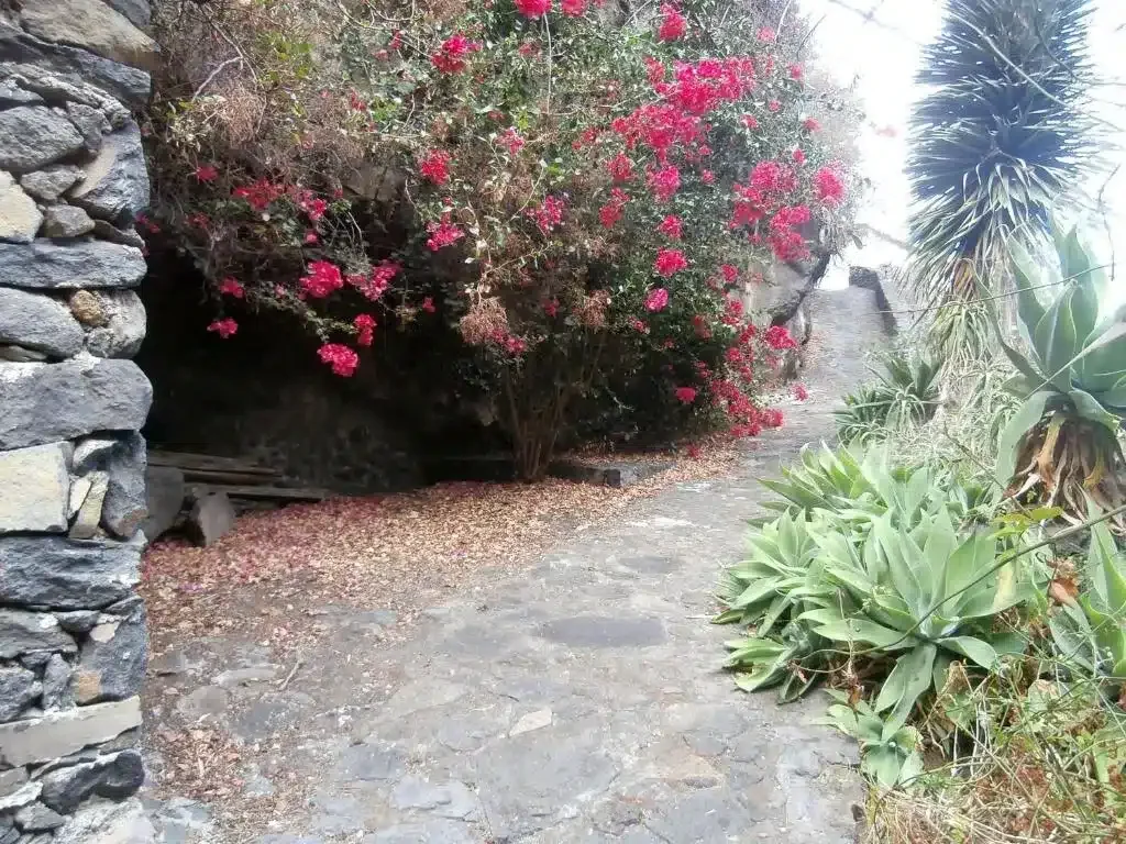 Molino Remanente - Foto 2
