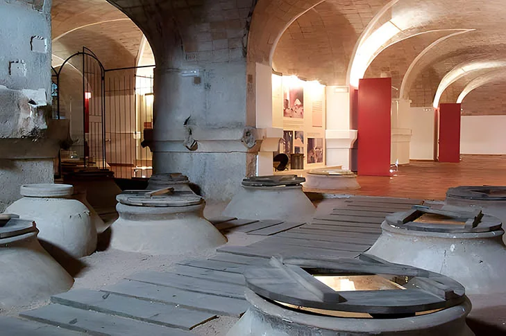 Museo del Vino de Bullas - Foto 3