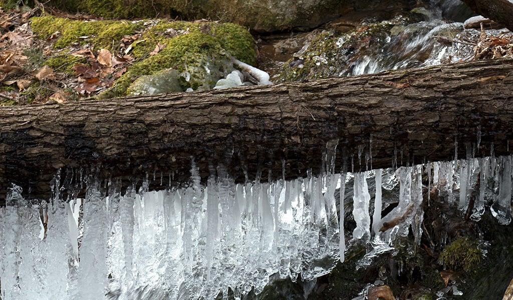 Puebla Sierra Frio