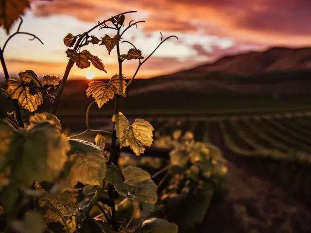 Alojamientos en La Rioja