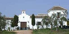 Hacienda Dos Olivos situado en 14337 en la provincia de 42 plazas 4 desde 28.25€ persona/noche